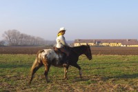 /album/fotogalerie/jk-1-jpg/